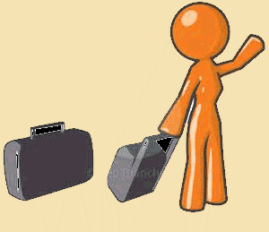 Traveler With Luggage Icon